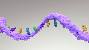 Integration Site Sequencing of Viral Gene Delivery Vehicles: Introduction, Sequencing Technology, and Applications
