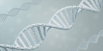 Microbial Diversity Analysis – 16S/18S/ITS Sequencing