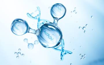 Microbial Functional Gene Analysis Service by NGS