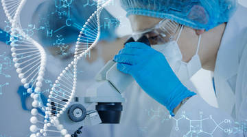 Antibiotic Resistance Genes Screening
