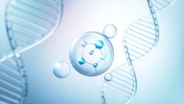 Microbial Whole Genome Sequencing
