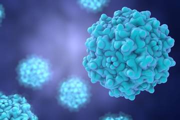 Antibiotic Resistance Genes (ARGs) Analysis Solution
