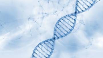 Microbial Whole Genome Sequencing