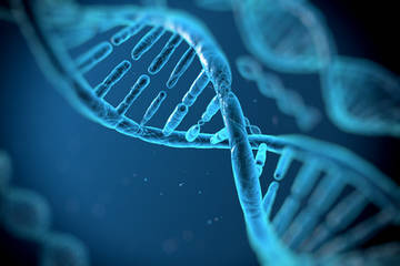 Microbial Metagenomics