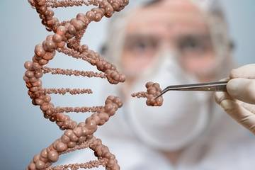 Metagenomic Shotgun Sequencing