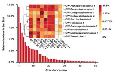 Bioinformatics Analysis