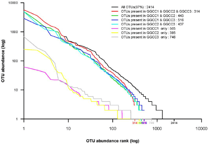 Rank abundance analysis of the different bacterial community groups.