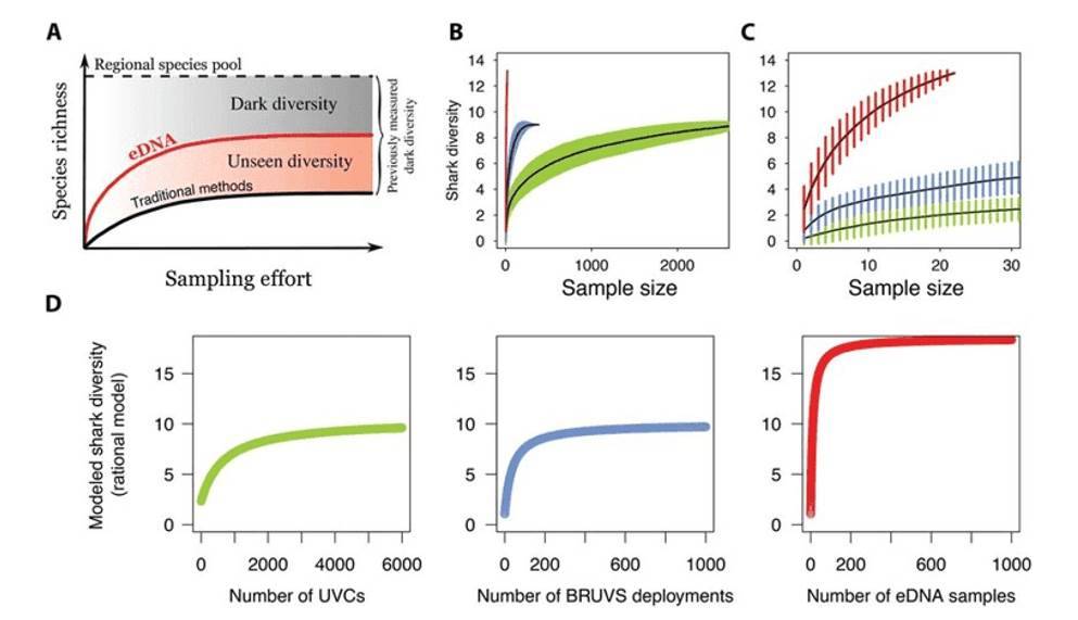 An example of sample-based rarefaction curves.