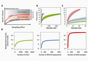 Bioinformatics Analysis