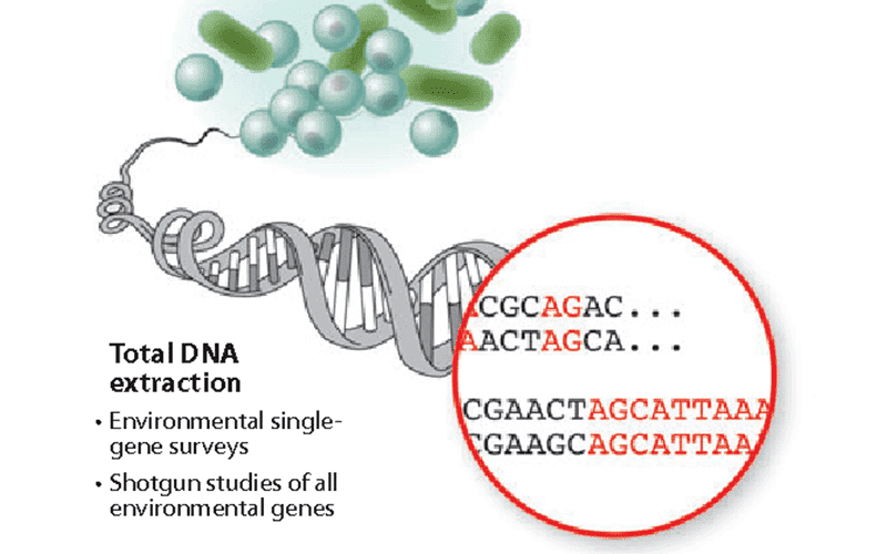 Comparative Bacterial Genome Analysis Using Next-Generation Sequence Data