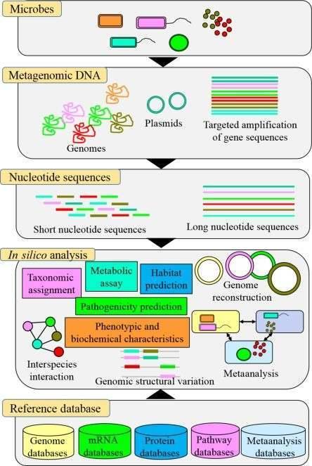 Microbial Metagenomic Sequencing: An Advancement in Ultra-High Resolution Microbiomics