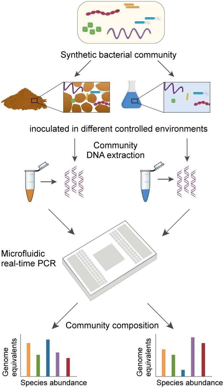 Microbial qPCR Workflow
