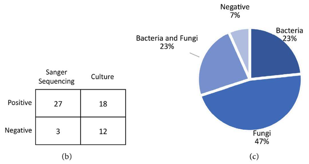 Figure 2: (b) Comparison of Sanger sequencing and culture results; (c) Classification of pathogens identified in clinical samples using PCR+Sanger sequencing.