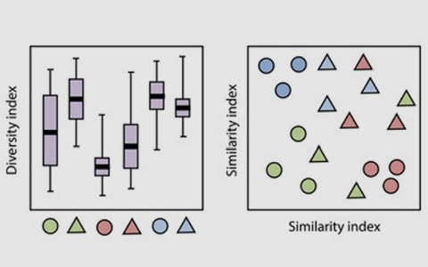 Microbial Diversity: Significance and Research Methodology