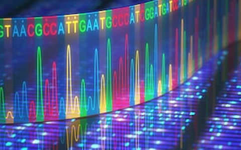 Amplicon-Based Next-Generation Sequencing vs. Metagenomic Shotgun Sequencing