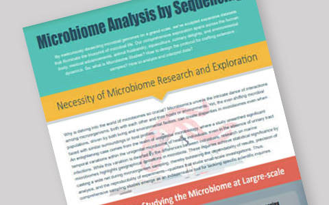 Revolutionize Research: NGS Microbiome Analysis for Deeper Insights