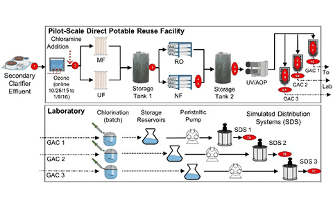 Sample Preparation Protocols for Sewage Sludge Microbiome Sequencing