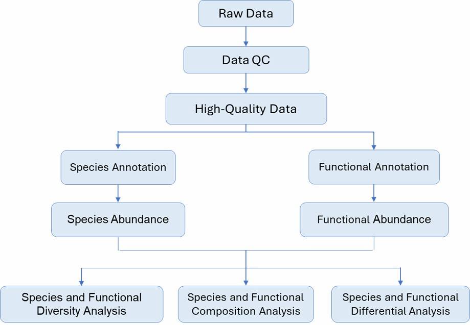 The Bioinformatics Analysis pipeline of Shallow Shotgun Metagenome Sequencing.