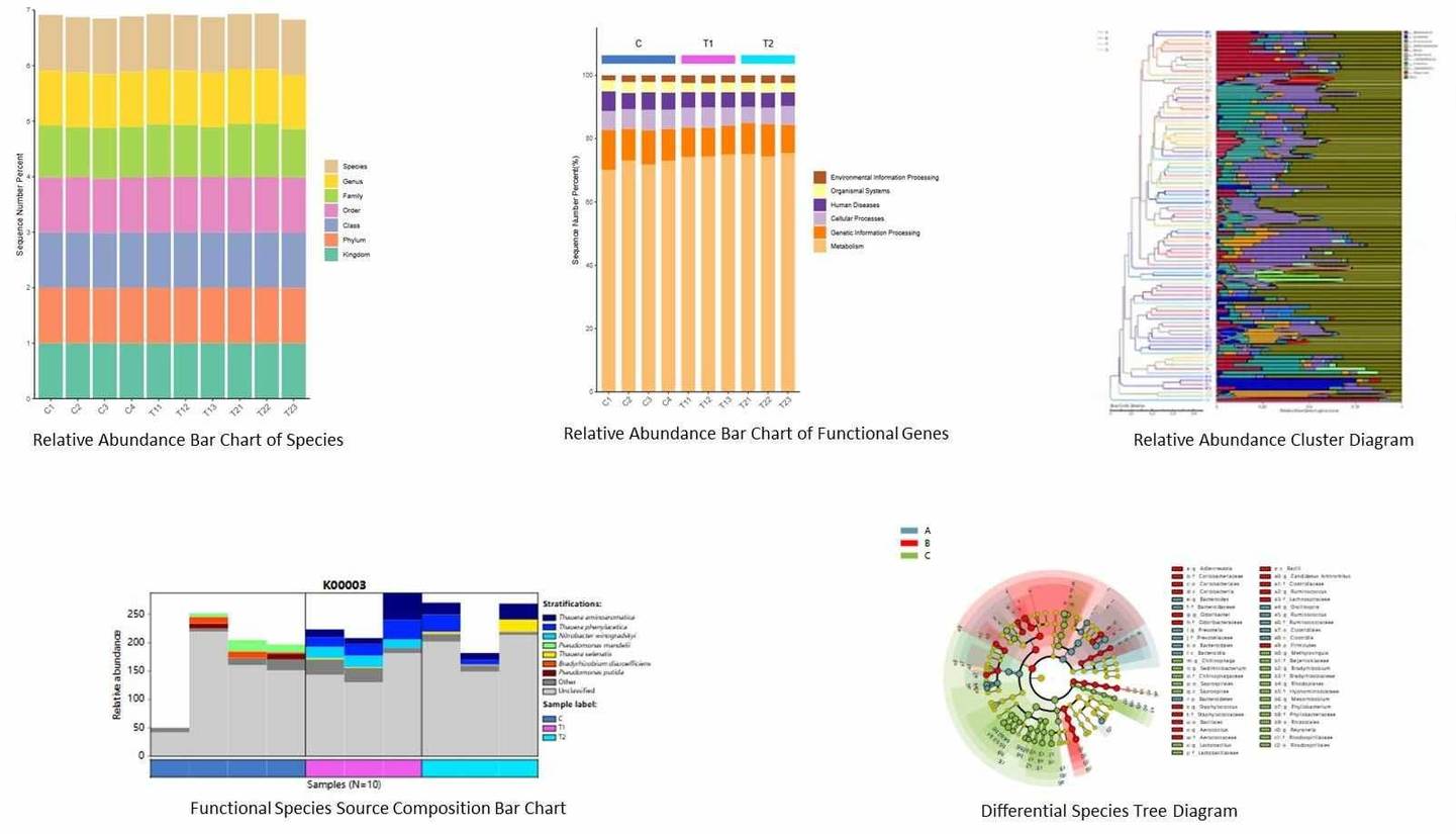 The Shallow Shotgun Metagenome Sequencing Results Display.