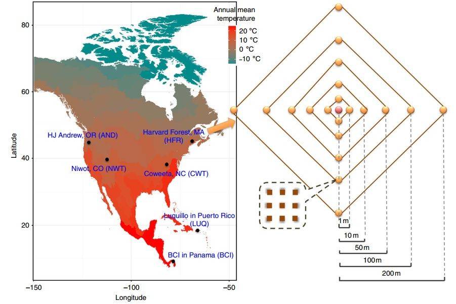 Soil Sampling Operations