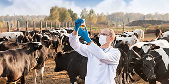 Agricultural Microbiology Solutions