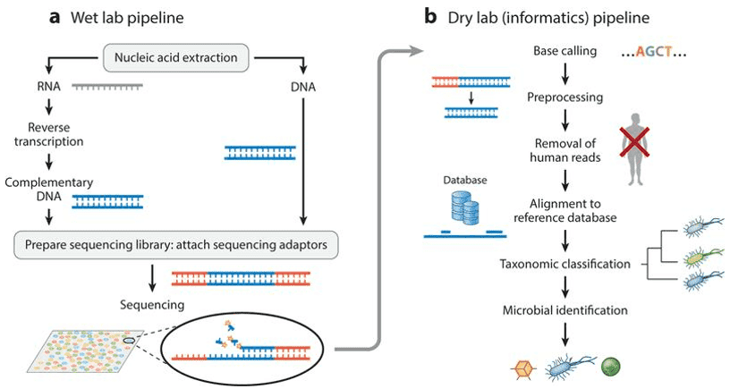 Schematic of the generalized workflow of metagenomic next-generation sequencing for diagnostic clinical use