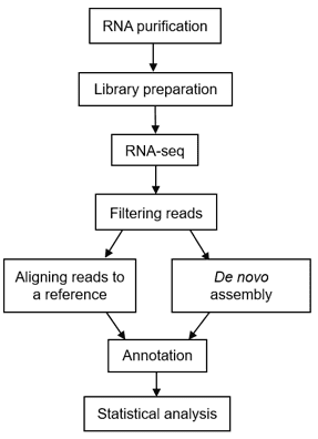 A typical workflow of metatranscriptomic sequencing