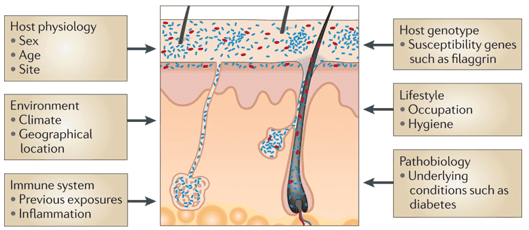 Factors affecting skin microbiome composition.