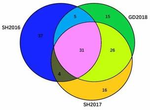 Figure 1. Protein profile of three ILTV isolates. (Wu M et al., 2022)