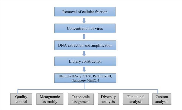 viral-metagenomics-2-1