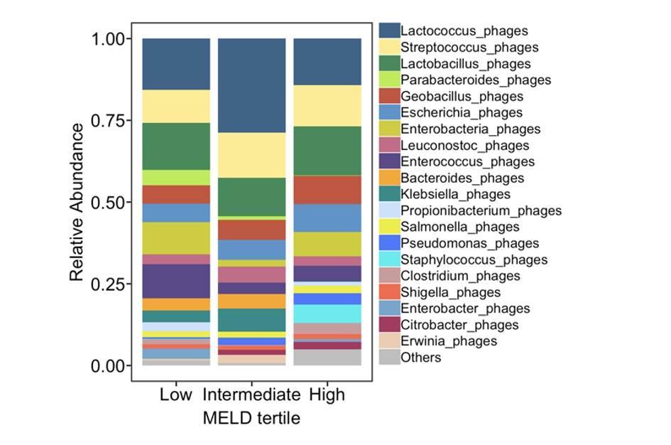 Intestinal virome in patients with alcoholic hepatitis. (Jiang et al., 2020)