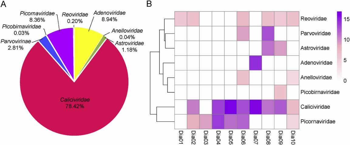 Taxonomic analysis of fecal virome detected in diarrheal children on the family level. A The composition of fecal virome detected in diarrheal children. The percentage of virus sequences in different virus family was shown. B Heatmap representing the reads number of each viral family in exponential form.