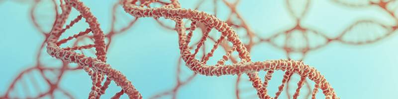 Nucleic Acid Purification