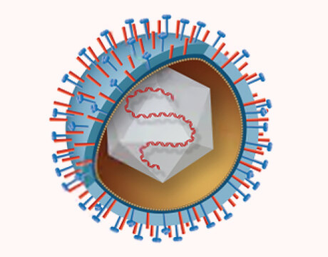 CD Virus DNA&RNA Kit