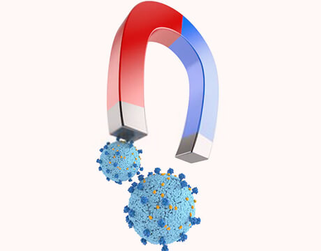 CD Magnetic Virus DNA&RNA Kit