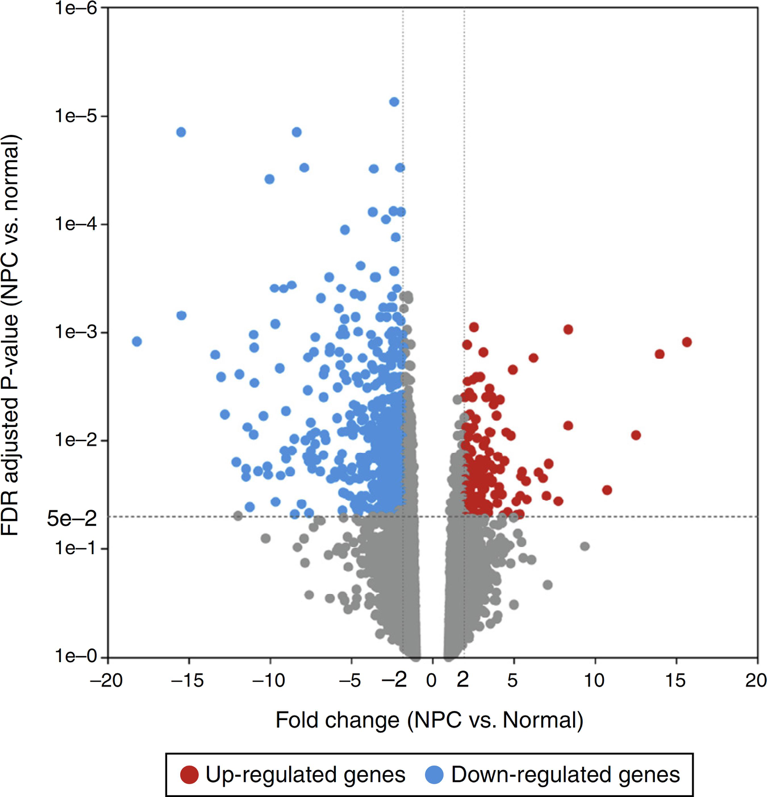 The volcano plot for differentially expressed genes (DEGs) (FC > 2 and adjusted p-value < 0.05). The horizontal axis represents the fold change, and the vertical axis represents the adjusted p-value. The red and blue circles indicate up- and down-regulated genes, respectively.