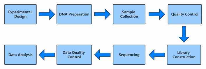 Workflow Diagram of De Novo Whole Genome Sequencing.