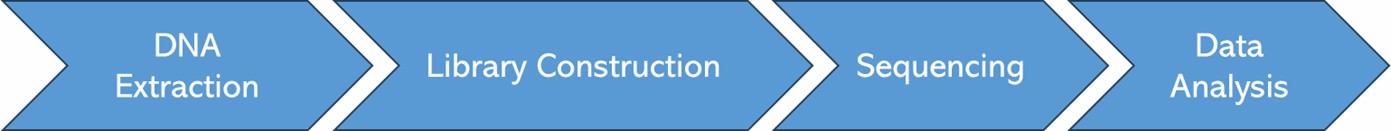 The Workflow of GBS.