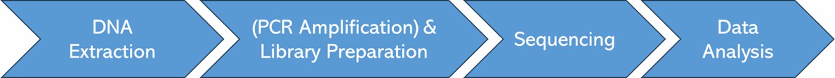 The Workflow of Lentiviral/Retroviral Integration Sites Analysis.