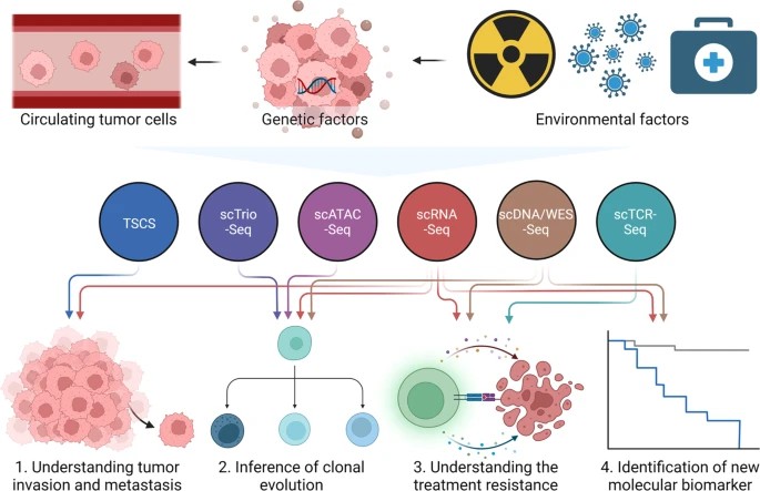 Application of single-cell omics in research of tumor cells.