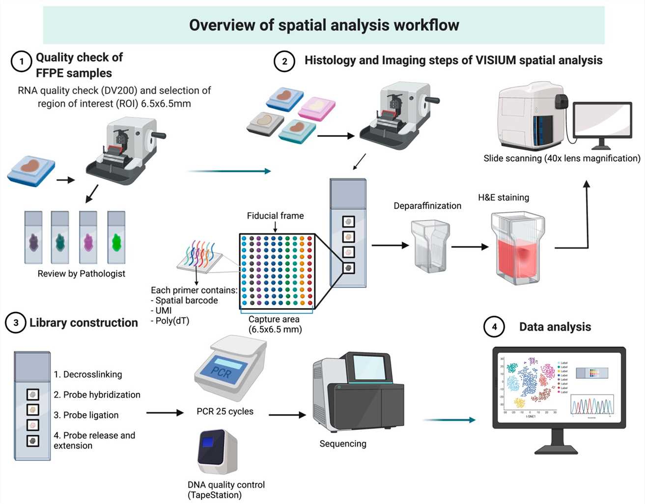 Source: 10x Genomics