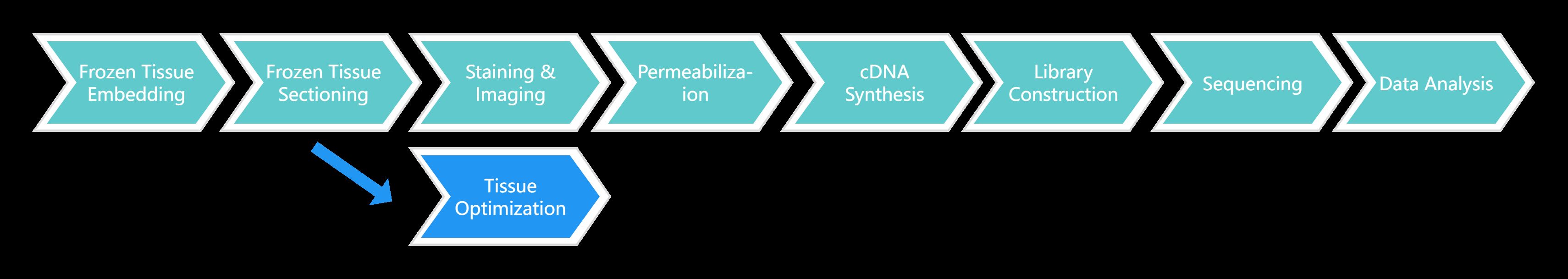 Visium Spatial Gene Expression for Fresh Frozen Tissue Service Workflow