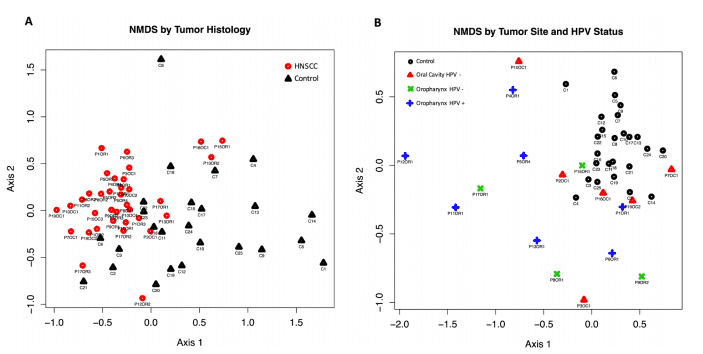 Beta diversity comparisons by PCA using NMDS, with Euclidean distances, discriminated HNSCC from control samples.