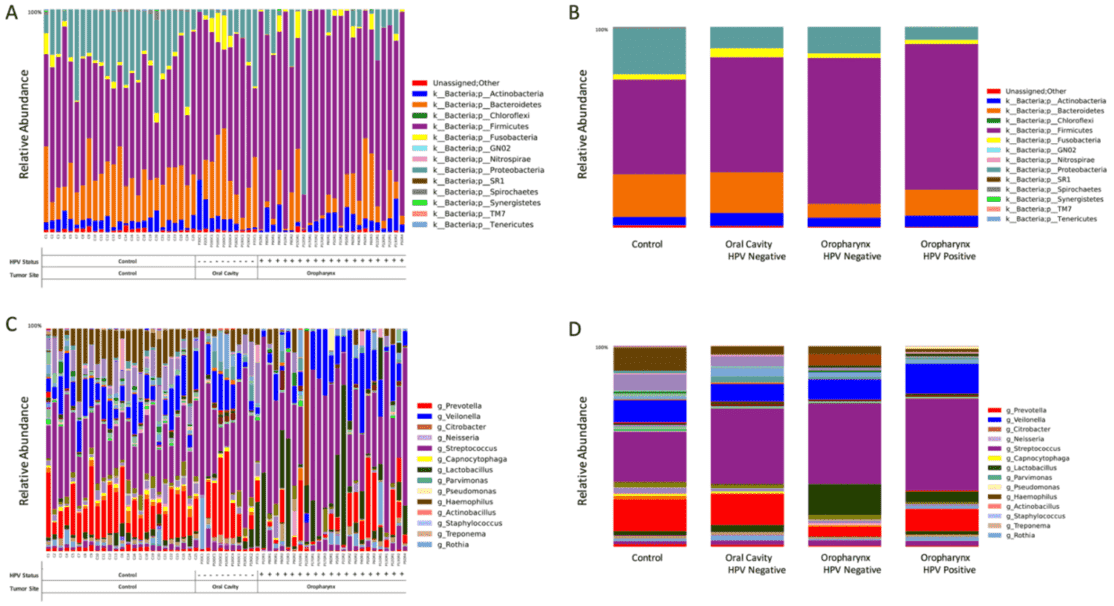 Taxonomic profiles at the phyla and genus levels.