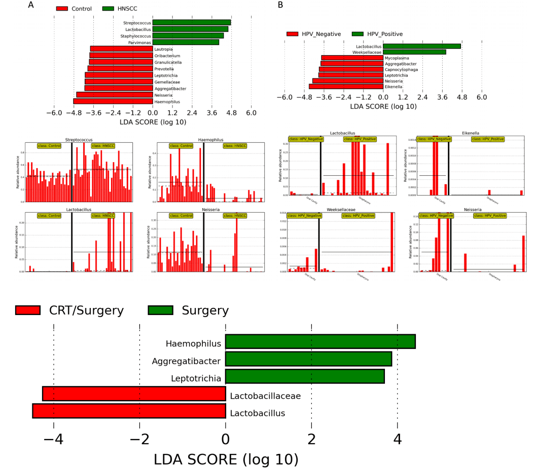 LDA Effect size (LEfSe) algorithm was used to determine taxa that best characterize each biological class.