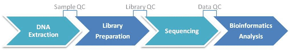 Workflow Diagram of 16S/18S/ITS Amplicon Sequencing.