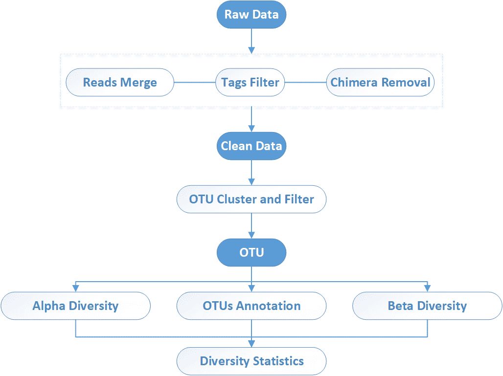The Data Analysis Pipeline of 16S/18S/ITS Amplicon Sequencing. 