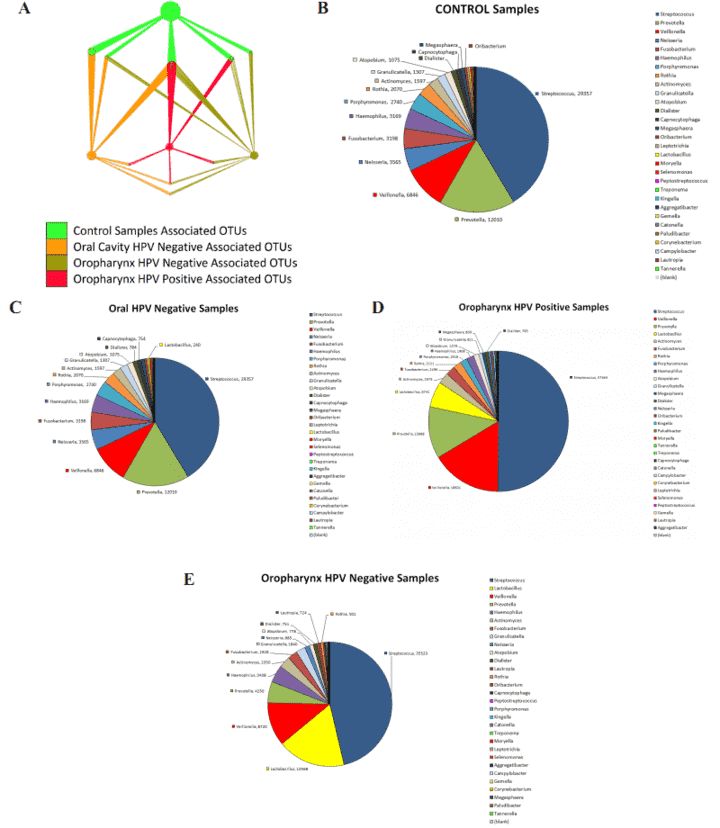 Figure 3. OTUs network analysis significantly differentiates HNSCC samples from normal samples. (Guerrero-Preston et al., 2016)