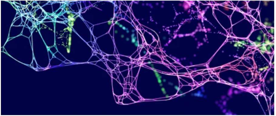 16S rRNA Sequencing vs. Metagenome Sequencing: A Guide for Selection