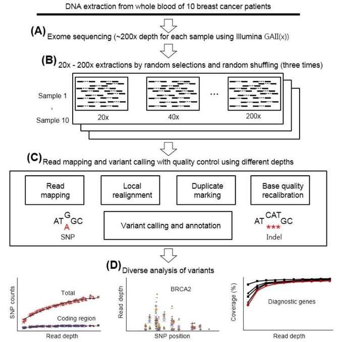 Evolutionary, Medical, and Clinical Applications of Whole Exome Sequencing